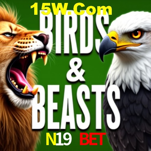 Apostas Esportivas na N19 BET: Um Guia Completo